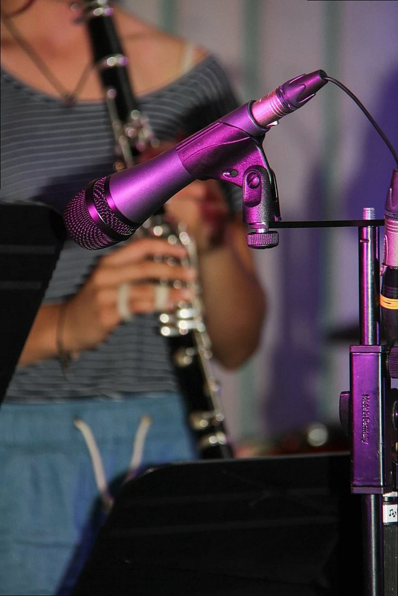école de musique, concert, clarinette, microphone, musique, instruments, Haute-Savoie